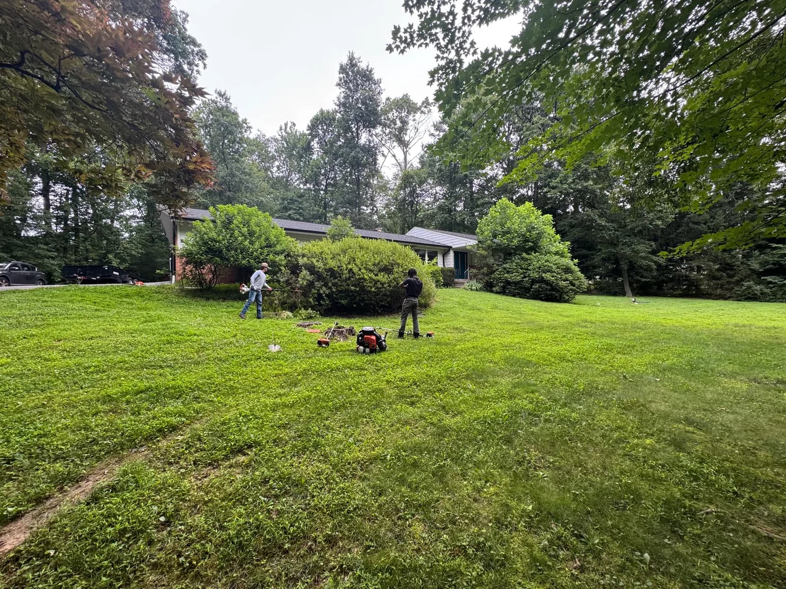 Lawn Care — before