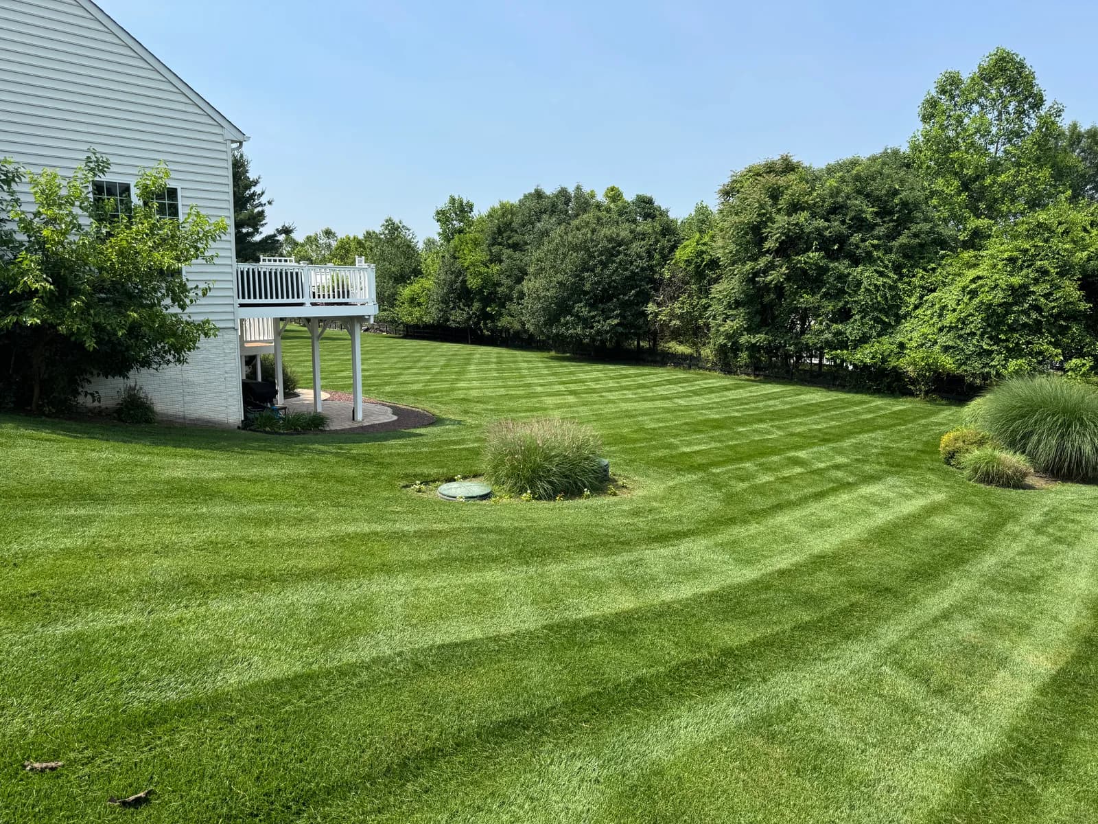 Lawn Care — after